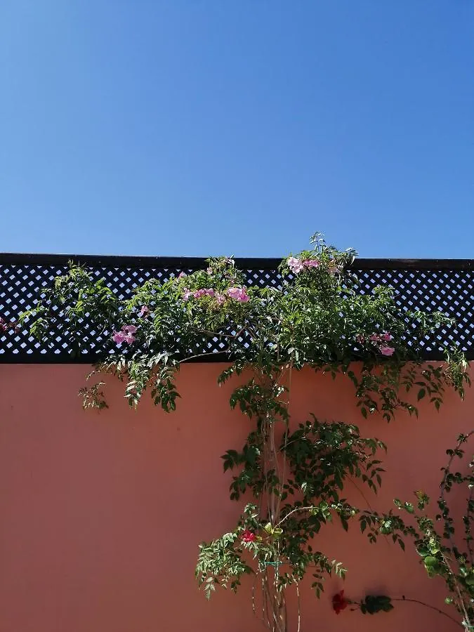 Riad Alena Marrakesch
